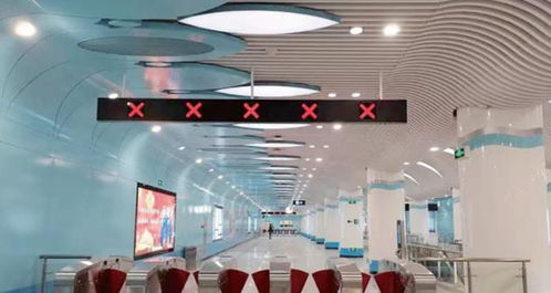 創(chuàng)新技術(shù)，產(chǎn)品為王——對(duì)話(huà)深圳茂碩電子科技總經(jīng)理謝擁軍